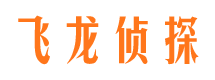 西平私家调查公司